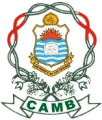 CAMB customer logo